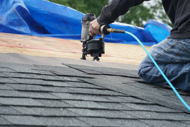 Best Roof Gutter Cleaning  in Mount Vernon, TX